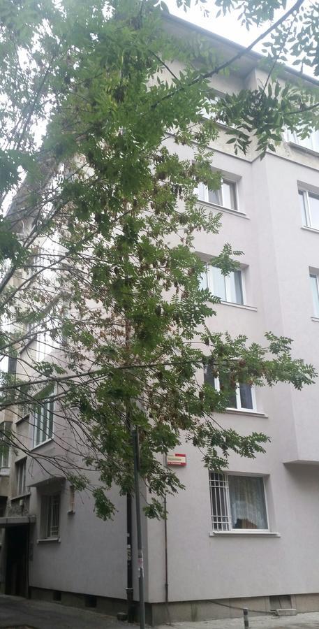 Apartament Downtown Garden Nest *